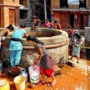 행복샘농장 이미지