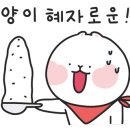 매머드익스프레스별내파라곤