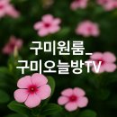원동지솔공인중개사사무소 | 구미신축원룸, 진짜 이 가격 맞아요?! 믿기 힘든 구미원룸월세 핫플 준신축