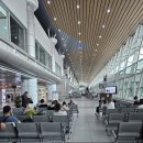 2611 | 코타키나발루➡️쿠알라룸푸르 국내선 말레이시아항공(MH2611) 탑승 후기