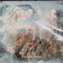 김덕자 할매 쭈꾸미 이미지