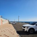 골든 | 서귀포 성산 바다가 보이는 카페, 코코컬처클럽 골든코스트 후기(Feat. 제주투어패스)