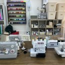 로힌(rohin) 이미지