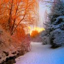 계절의집 이미지