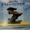 석향 이미지