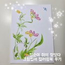집에서 즐기는 힐링 취미 | 그림쩡이 컬러링북 | 전 시리즈 다 해본 후기 | 인테리어 그림