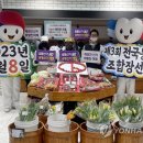 춘천시선거관리위원회 이미지