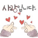 금차왕