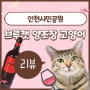 시민맥주 | 주안 인천시민공원 수제 병맥주 가게, 브루캣 양조장 고양이 후기
