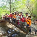 예원숲어린이집 이미지