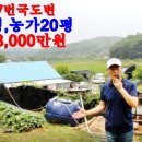 변*대