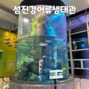 섬진강어류생태관 | 전남 구례 아이랑 섬진강어류생태관 가성비 아쿠아리움