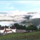 구름위의 산책 이미지