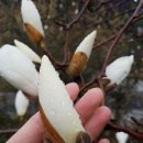 청도한의원 이미지