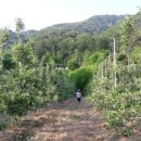 주니농장 이미지