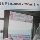 B&P 미디어