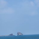 JEJU제주[3] 이미지
