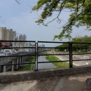 학장천 강변갤러리 이미지