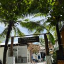 낙원비치하우스 | 안방비치 맛집 :: 2일차) 안방비치 라플라주 vs 덱하우스 후기 할인정보