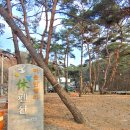 마운틴밸리관광펜션 이미지