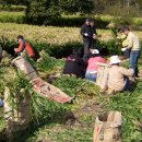 상운농장 이미지