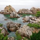 삼척오리마을 Daum카페
