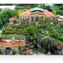 웰니스9 이미지