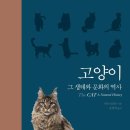 천지영