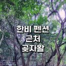 한비숲 이미지