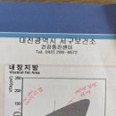 서구-9 | [홈트]대전서구보건소 무료 인바디 검사-홈트 9개월 인바디 후기