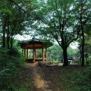 상무초교 이미지