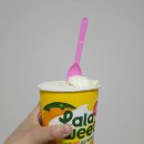 내돈내산 라라스윗 파인트 망고 광고와 달랐던 생요거트 망고 후기