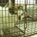 한스동물병원 이미지