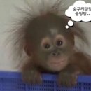 11650-16-41-10 | [W.10] 광기의 웨딩홀 16개 잠행투어 후기 - 2편