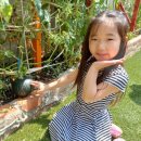 반석농장 이미지