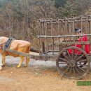 연산군 유배지 이미지