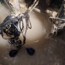 서초대로 55_ 이미지