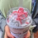 공설운동장 삼거리-좌 | 해군사관학교 개방 관람 방법! 진해군항제 동선 추천 코스 [창원 진해군항제]