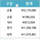 호주 여행 6박8일 비용 총 정리 (시드니, 멜버른) &amp; 5월 호주 여행 복장