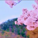 사계절 네이버블로그
