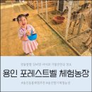 양지어린이집 | 용인 아이랑 실내가볼만한곳 동물체험, 딸기체험까지 가능한 포레스트벨