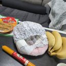 울 코뉴어 아가들 육아일기 알에서부화한지 20일째 ㅋㅌ 이미지