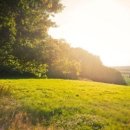 프로당구클럽 이미지