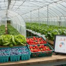 귀농 열풍 농업금융컨설턴트가 알려주는 3억 귀농창업 하는 법 (1편) | 재배 작물별 수익 분석, 어떤 농사가 돈이 될까?