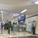주식회사 제주다움렌트카(도두) | 제주도 가족여행 1일차: 군산공항 제주다움렌터카 도두해녀의집 협재해수욕장 새빌카페 새별오름...