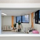 하이도기 이미지