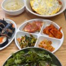 옴시롱감시롱김밥나라