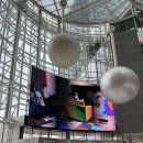 주여비네 이미지