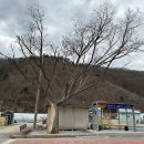 동음1리 이미지