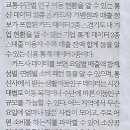 스테이나라 이미지